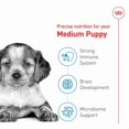 thumbnail image 3 of Size Health Nutrition - Medium Puppy - Dry Dog Food 17 lbs, 3 of 5