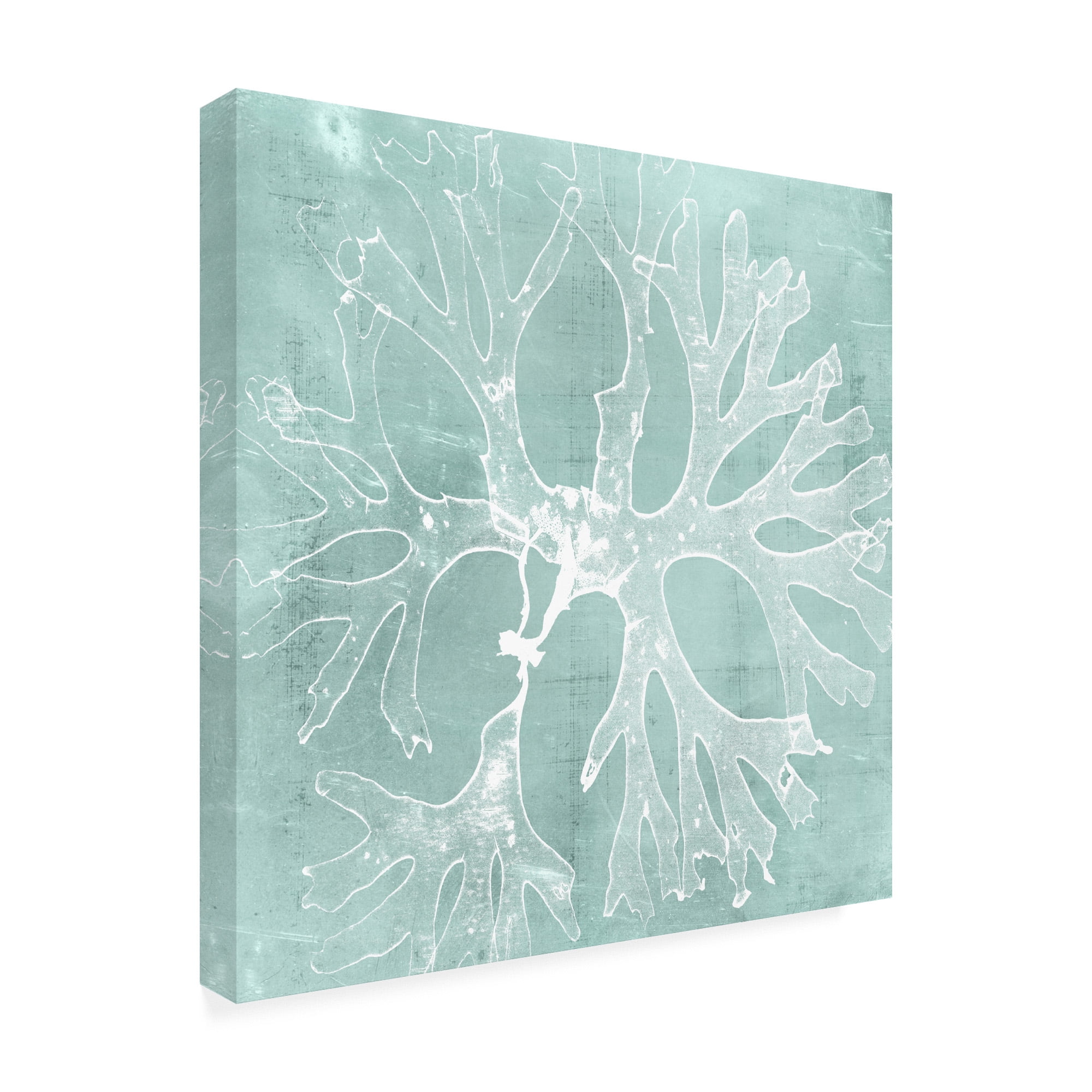 Trademark Fine Art 'Seaweed on Aqua III' Canvas Art by Vision Studio