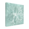 thumbnail image 2 of Trademark Fine Art 'Seaweed on Aqua III' Canvas Art by Vision Studio, 2 of 3