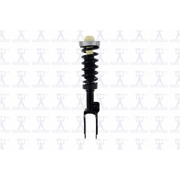 Suspension Strut and Coil Spring Assembly