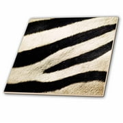3dRose USA, California, San Diego Zoo, Extreme Close-up of Zebra - Ceramic Tile, 4-inch