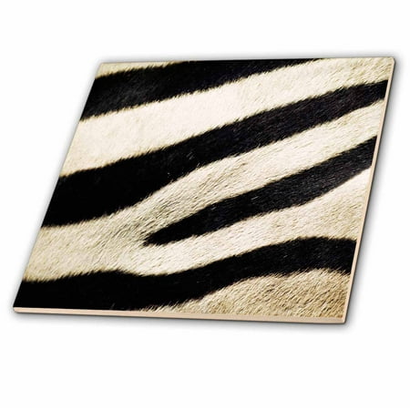 3dRose USA, California, San Diego Zoo, Extreme Close-up of Zebra - Ceramic Tile, 4-inch