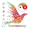 thumbnail image 2 of CafePress - Peace And Harmony - Twin Duvet Cover, Printed Comforter Cover, 2 of 4