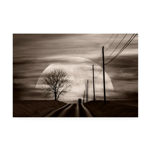Trademark Fine Art 'Heading Home Moon' Canvas Art by Monte Nagler