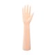 thumbnail image 5 of Guantes de mano de maniquí femenino perfecl soporte de exhibición elegante Derecha, 5 of 8