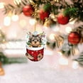 thumbnail image 3 of JingChun 1Pc Personalized Yorkshire Terrier Ornament, Yorkshire Terrier Christmas Ornament Gift for Lover , Yorkshire Terrier in Snow Pocket 3D Acrylic Ornament, 3 of 4