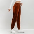 thumbnail image 6 of ClodeEU Women's Velvet Jogger Pants with Stretch Waist and Pockets,Trendy Casual Sweat Pant Brown,Womens Plus M, 6 of 7