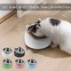 thumbnail image 4 of blanc Inclin En Acier Inoxidable Cat Bowl, Bol De Nourriture, Double Couche En Acier Inoxydable Cat Bowl, Puppy Bowl, Pet Bowl Set, Chat Et Chien, 4 of 5