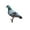 B, variant on JHGoosa Acrylic Pigeons Outdoor Garden Ground Decoration Garden Garden Double Sided Decoration Board