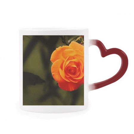 

orange dark green flower heat sensitive mug red color changing stoneware cup