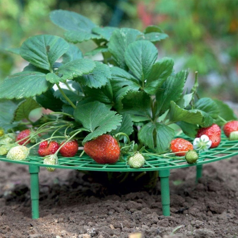 Details about   5PCS/PACK Strawberry Stand Frame Holder Balcony Planting Rack Fruit Support 