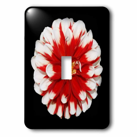 3dRose, Christmas Flower, single toggle switch
