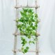 thumbnail image 3 of Planta verde artificial, planta de ratán verde, planta de rábano verde, cesta colgante de pared, orquídea colgante, planta falsa, vid colgante, hoja verde, flor decorativa de pared, 3 of 4
