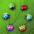 thumbnail image 2 of 6 pcs Creative Plastic Ladybugs Tree Refrigerator Magnets Desk (random color) 0.59 x 0.67 x 0.71 inches, 2 of 3