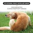 thumbnail image 4 of Cat Flea and Tick Prevention, Cat Flea and Tick, insect Repellent, 1 Fl Oz Bottle, Feline External Pest Control, Home Outdoor Use, Amber Dropper Bottle, 1 Pc, 4 of 8