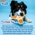 thumbnail image 5 of Hartz Chew 'n Clean Tri-Point Medium Dog Toy, Nylon, 1ct, 5 of 8