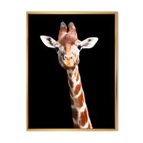 Designart 'Close Up Portrait Of A Giraffe On Black V' Farmhouse Framed Canvas Wall Art Print