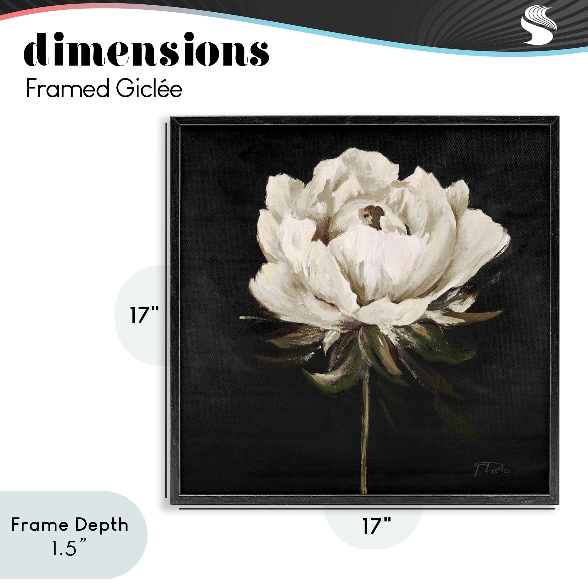 Stupell Industries Pretty Delicate Bloom on Black Black Framed Giclee Art, design by Patricia Pinto