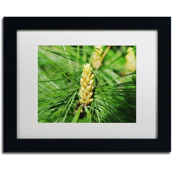 Trademark Fine Art "The Start" Canvas Art by Monica Mize, White Matte, Black Frame