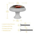 thumbnail image 5 of Ladybird Round Glow-in-the-Dark Cabinet Knobs: Fluorescent Drawer Pulls 4-Pack, Complet– Suitable Kitchen Hardware, 5 of 6