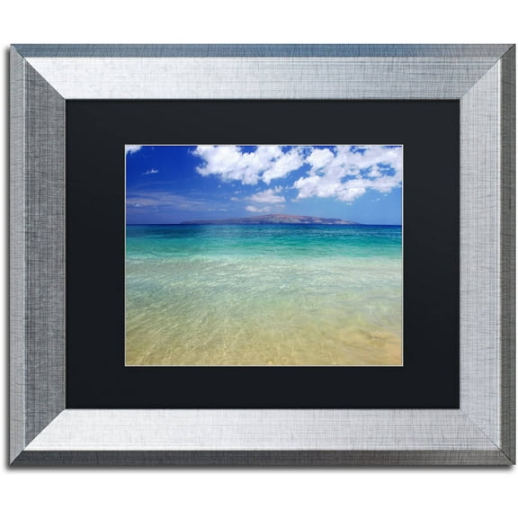 Trademark Fine Art "Hawaii Blue Beach" Canvas Art by Pierre Leclerc Black Matte, Silver Frame