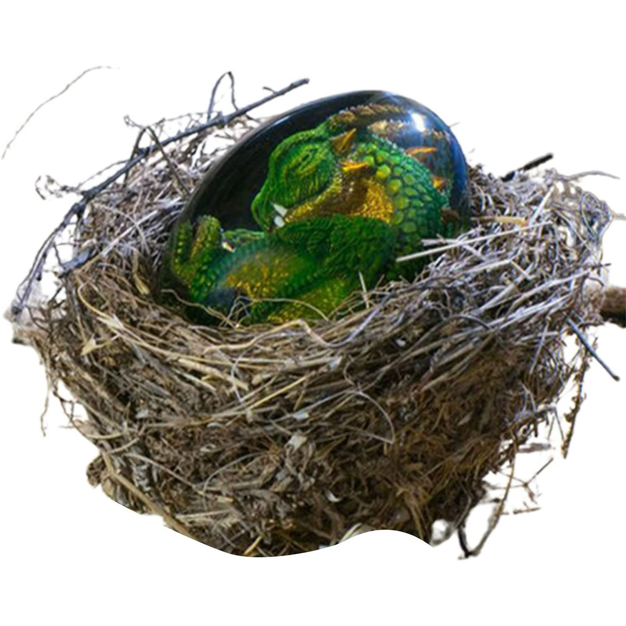 Lava Dragon Egg, Crystal Transparent Resin Dragon Egg,Rex the Green Dragon Baby,Dinosaur Egg Resin Ornaments,Exquisite and Unique Lava Dragon Egg Souvenir,Realistic Dragon Birth Scene | Walmart Canada Lava Dragon Egg, Crystal Transparent Resin Dragon Egg,Rex the Green Dragon Baby,Dinosaur Egg Resin Ornaments,Exquisite and Unique Lava Dragon Egg Souvenir,Realistic Dragon Birth Scene | Walmart Canada
