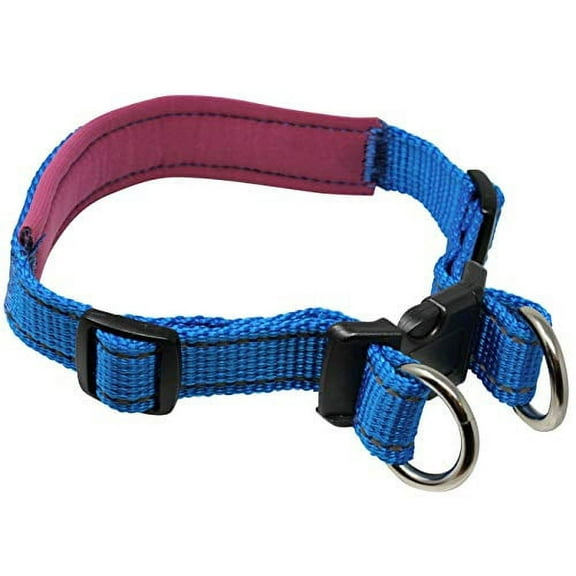 Soft Neoprene Padded Adjustable Reflective 1" Wide 2 Rings Design Dog Collar Blue 3 Sizes