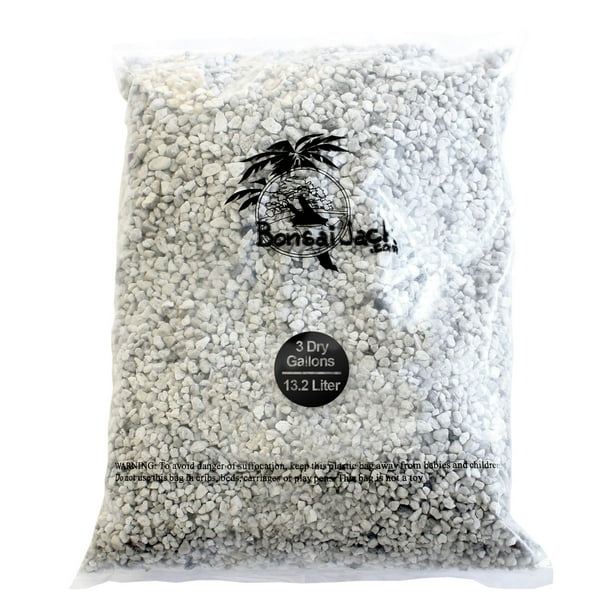 Bonsai Jack 1/4 inch Horticultural Pumice Soil Amendment for Cactus and