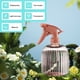 thumbnail image 4 of Botella rociadora de alcohol doméstico, Botella rociadora especial de desinfectante, Rociador de agua de pulverización fina de presión de respiración, Rociador de plástico, Rojo, 4 of 6