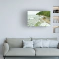 thumbnail image 2 of Trademark Fine Art 'Lakes 12' Canvas Art by Tom Kelly, 2 of 4