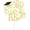 Gold, variant on XIPYYKM I'm Done With This B.S Cake Topper, Bachelor of Science, Class of 2026 College Graduation Party Decorations Supplies, Blue Glitter