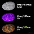 thumbnail image 4 of Linterna UV UVBeast New V3 365nm Black Light, 4 of 8