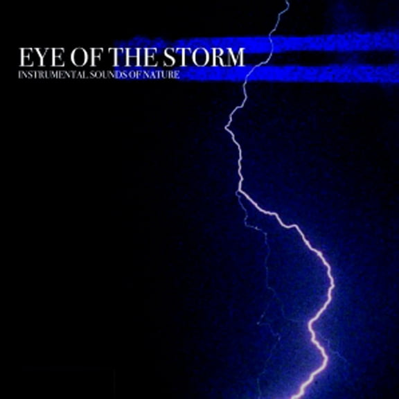 Various Artists - Eye of the Storm - New Age - CD