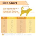 thumbnail image 2 of Chubasquero para perros KOOLTAIL Slicker, impermeable para perros medianos, 2 of 7