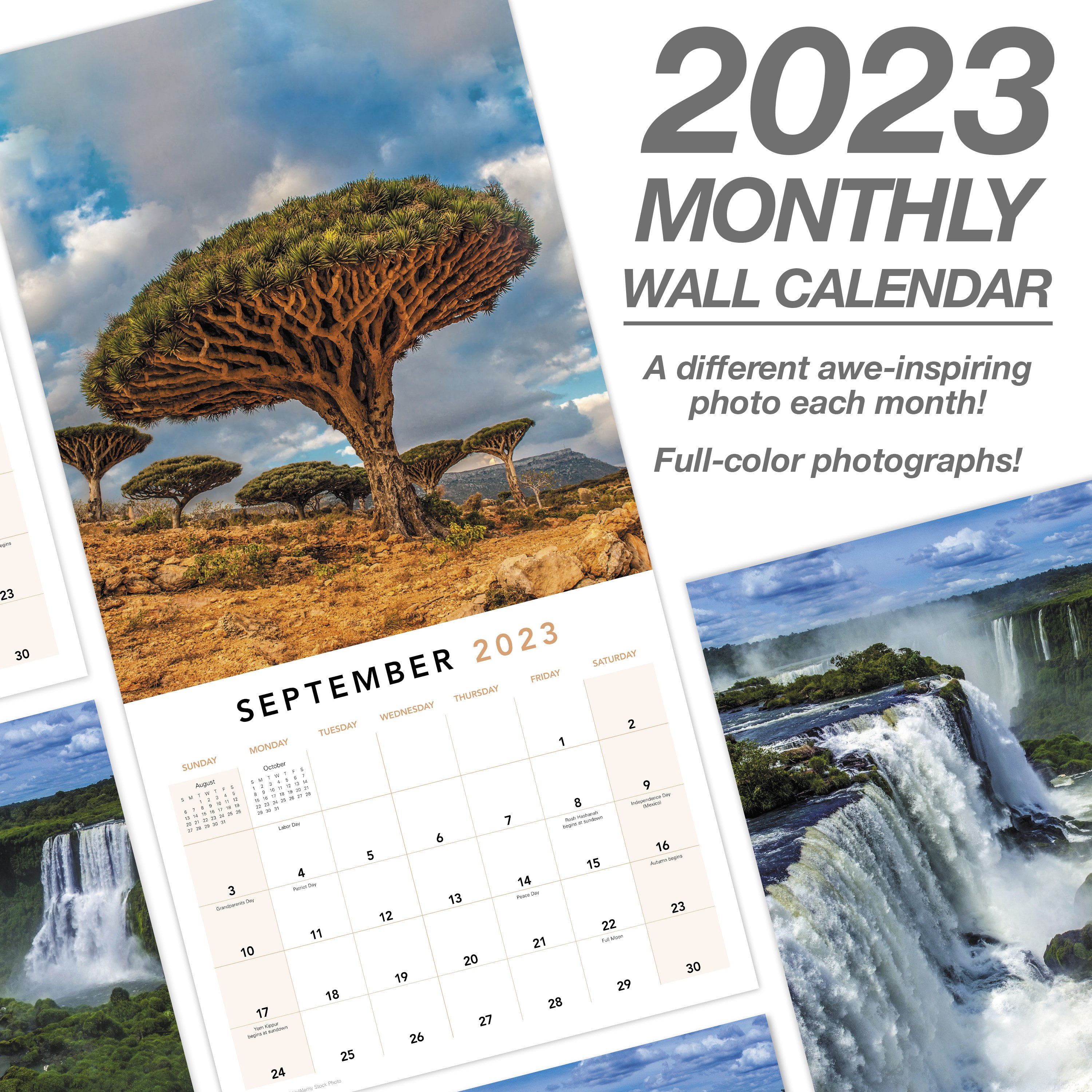 2023 Wall Calendar, Mother Nature, 12" x 12" by Mead (WMET091023)