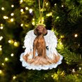 thumbnail image 1 of Xihbxyly Colgante de Perro Alado, Adorno para Árbol de Navidad, Adorno Navideño Único, Accesorio de Decoración para El Hogar, Regalo Perfecto para Familiares y Amigos, Ideal para Navidad y Año Nuevo,, 1 of 6