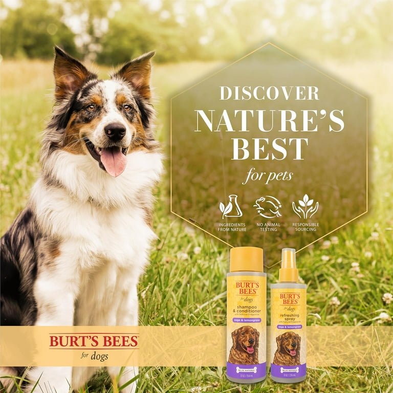 Burt s Bees for Pets Natural Deodorizing Spray for Dogs with Lemongrass and Sage Eliminates Dog Odors pH Balanced for Dogs Free from Sulfated Colorants and Parabens Made in USA Walmart