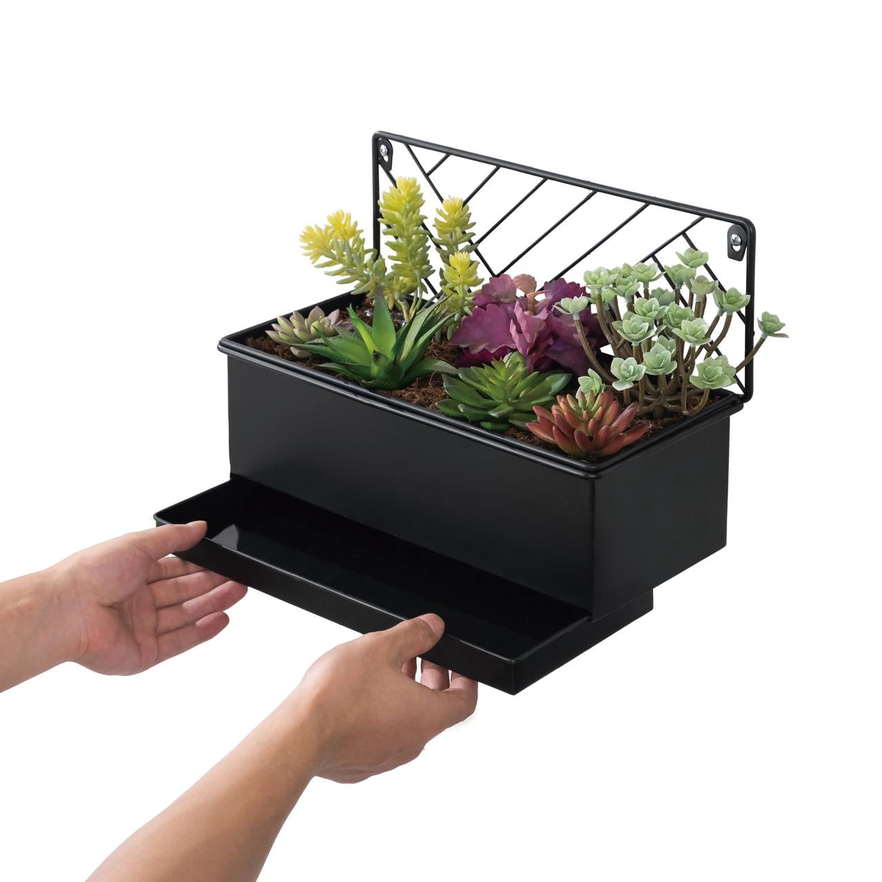 Mainstays Black Wall Hanging Planter with Removable Tray, 13.6 in L x 6.8 in W x 10 in H