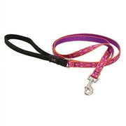 LupinePet Originals 1/2" Alpen Glow 6-foot Padded Handle Leash for Small Pets