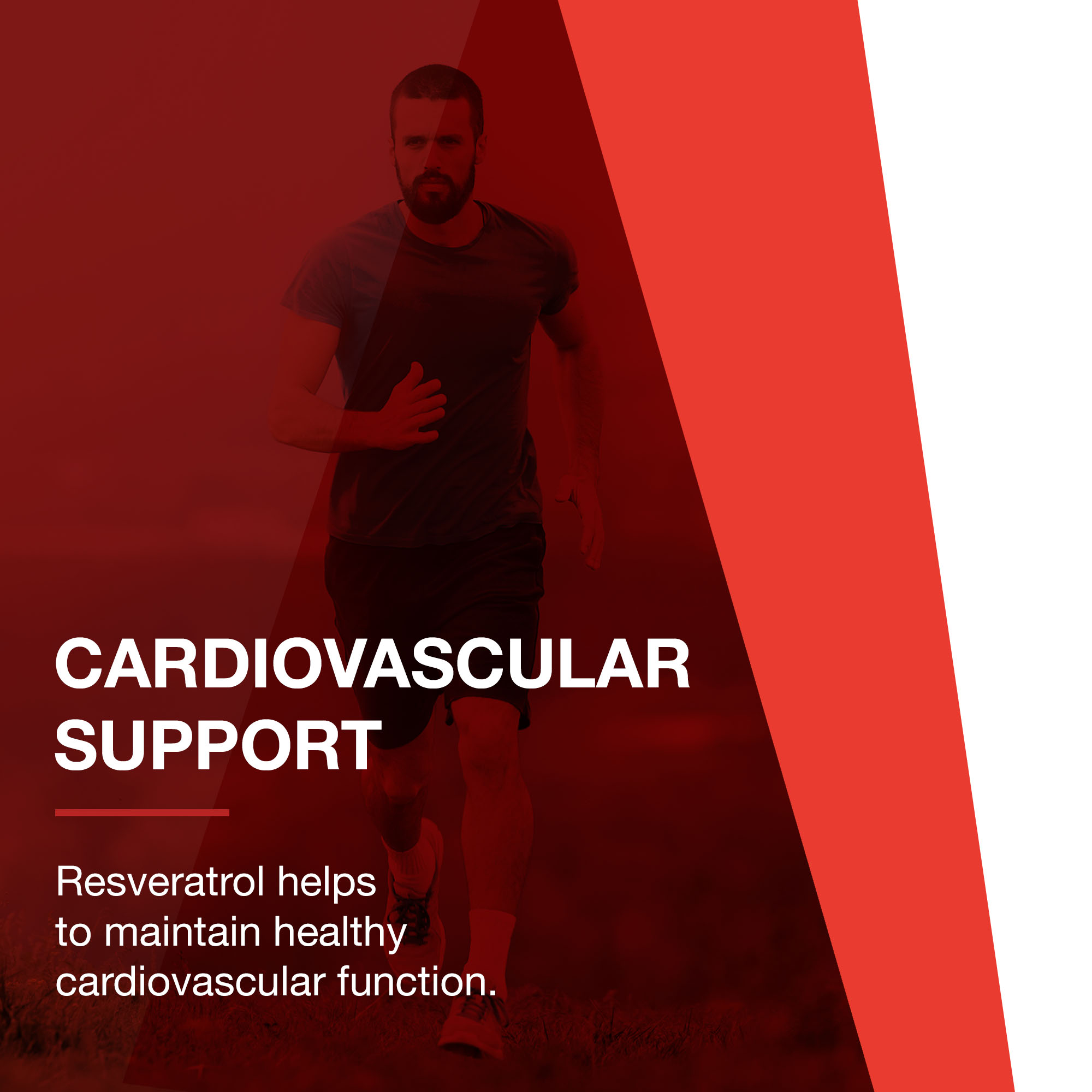 Protocol Resveratrol 200mg - Japanese Knotweed - Heart Health - 60 Veg Caps