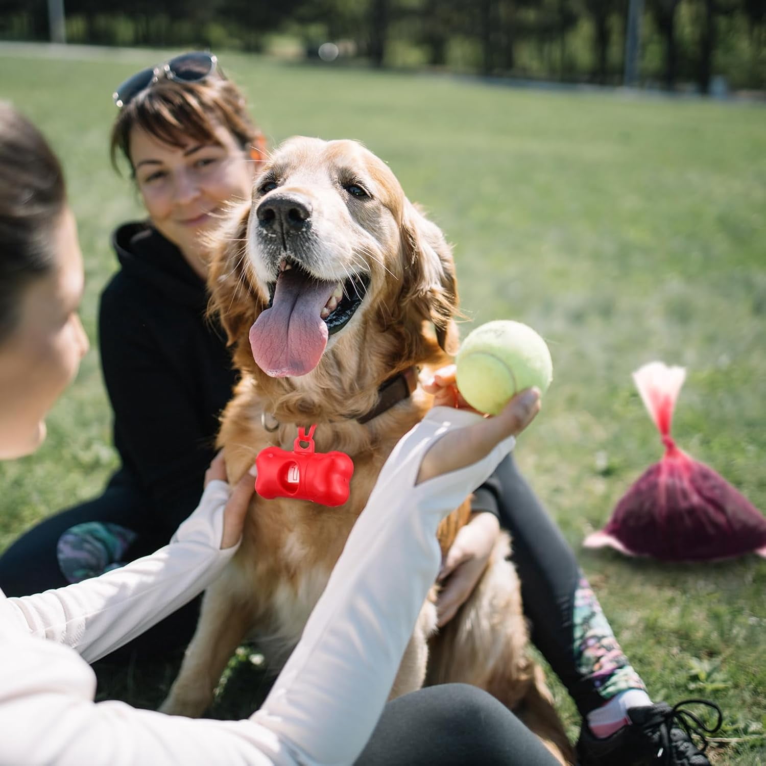 192 Sets Dog Poop Waste Bags with Dispenser Bulk Pet Waste Disposal Puppy Pet Supplies for Walking Travel Outdoor Odorless Leakproof
