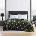 thumbnail image 3 of NFL Green Bay Packers Family Blanket, 3 of 3