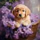 thumbnail image 1 of Kit DIY 5D Golden Retriever Del 40x40cm, 1 of 9