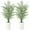 5FT(2pcs), variant on Artificial Areca Palm Tree in Pot, 4FT Faux Tropical Dypsis Lutescens for Indoor, Outdoor, Home or Office Decor, 1Pcs