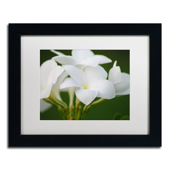Trademark Fine Art "Picture Perfect" Canvas Art by Monica Mize, White Matte, Black Frame