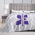 thumbnail image 4 of Mount Union Purple Fleece Blanket, Very Soft Microfiber Flannel Blanket for Couch Warm and Cozy for All Seasons, 4 of 6