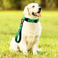 thumbnail image 6 of Plutus Pet Short Dog Leash, Reflective Nylon Padded Handle, Strong Traffic Pet Leash with Carabiner Clip, for Medium Large Dogs (10", Green), 6 of 6
