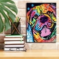 thumbnail image 3 of Epic Graffiti 'Bosco' by Dean Russo, Giclee Canvas Wall Art, 12"x16", 3 of 8