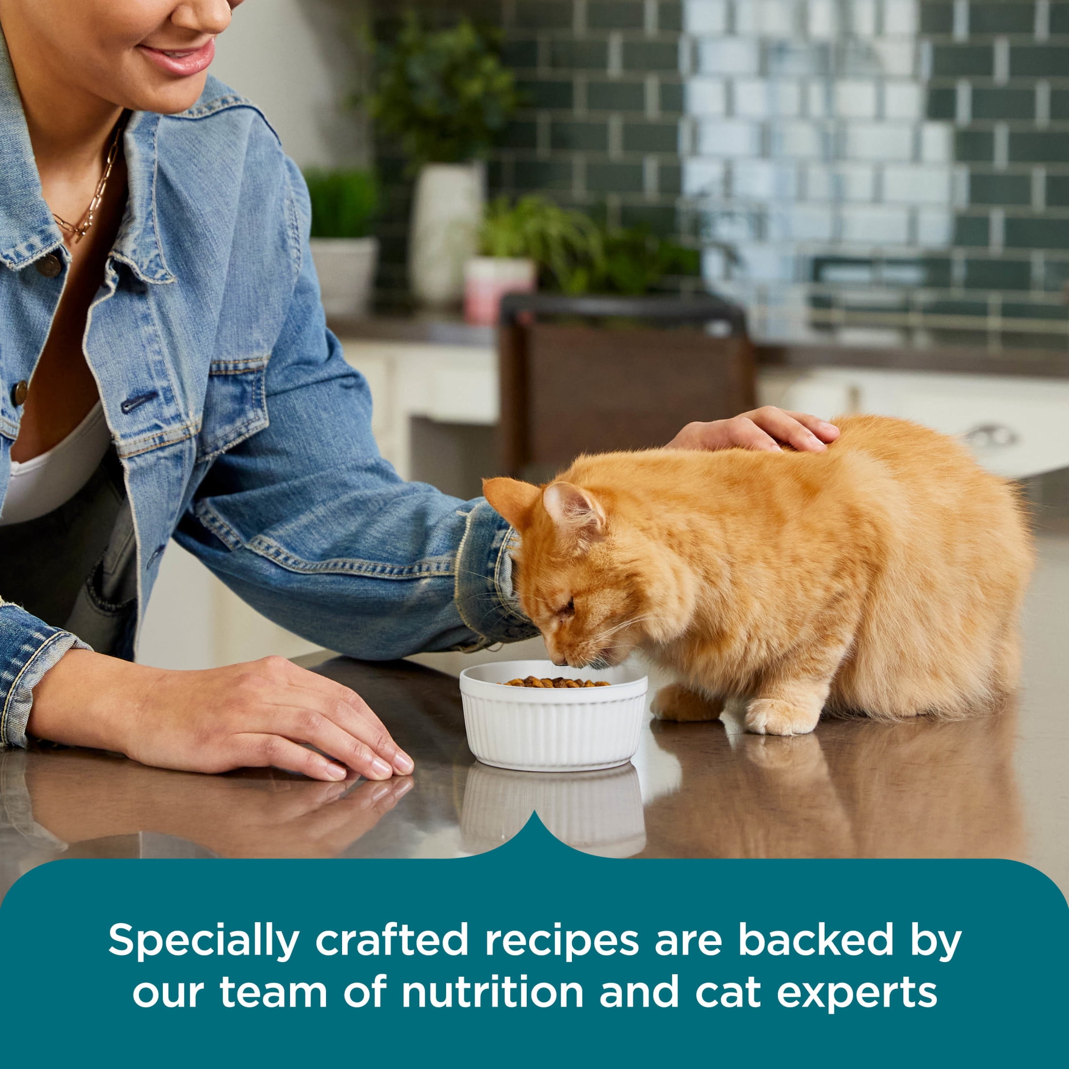 Rachael Ray Nutrish Dry Cat Food Real Salmon & Brown Rice Recipe, 2.5 lb.