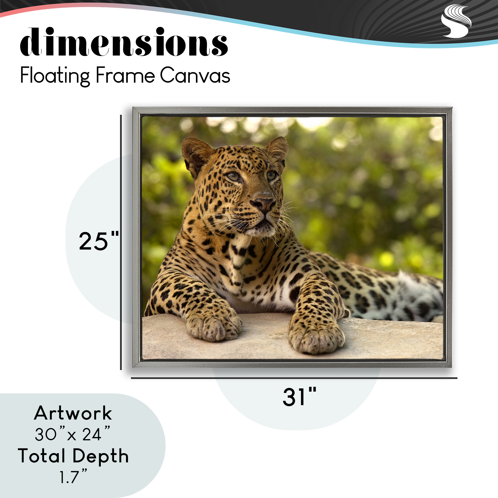 Leopard Gazing Relaxation Gray Framed Floater Canvas Wall Art, design by MJ Photography